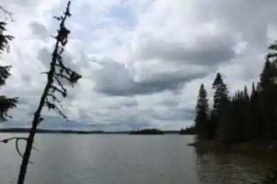 Découvrir Forêt D'enseignement Et De Recherche Du Lac Duparquet en Abitibi-Témiscamingue
