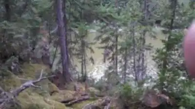 Randonnée Forêt D'enseignement Et De Recherche Du Lac Duparquet - nature et plein air
