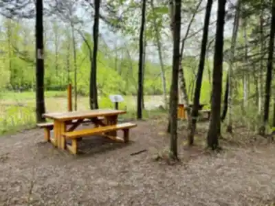 Sentier Du Gouffre hike - nature and outdoors