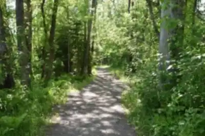Explore Sentier Du Gouffre trail
