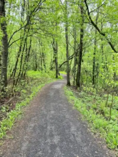 Discover Sentier Du Gouffre in Charlevoix