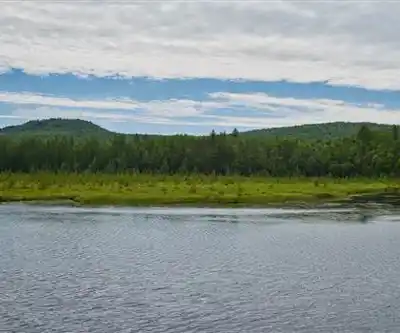 Stratton Pond hiking trail - natural landscape