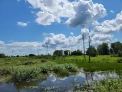 Parc National De Plaisance hiking trail - natural landscape