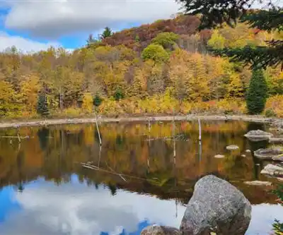 Discover Les Sentiers Écologiques De Saint-hippolyte in Laurentides
