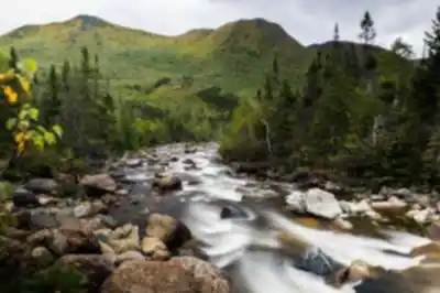 Randonnée Parc national de la Gaspésie - nature et plein air