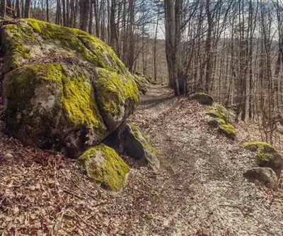 Parc naturel régional Livradois-Forez hiking trail - natural landscape