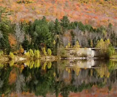 Sentier de randonnée Flat Mountain Pond Shelter - paysage naturel
