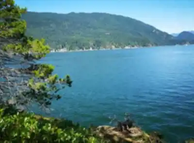 Jug Island Trailhead hiking trail - natural landscape