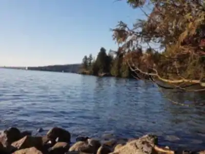 Explore Jug Island Trailhead trail