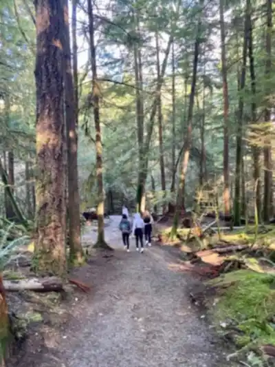 Hiking view of Jug Island Trailhead