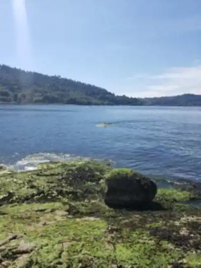 Jug Island Trailhead hike - nature and outdoors