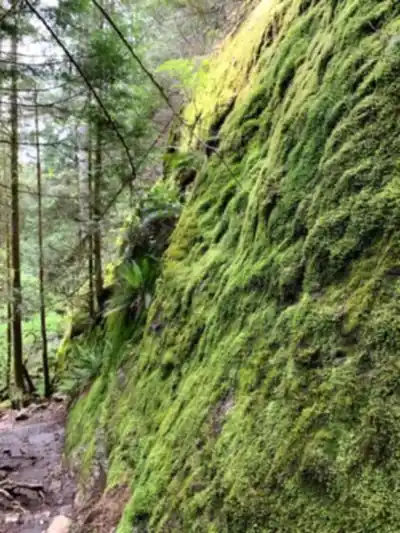 Discover Jug Island Trailhead in Vancouver Coast Mountains