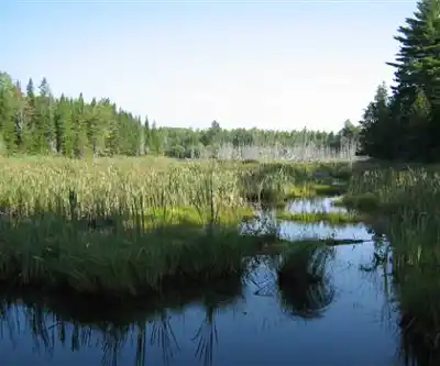 Sentier de randonnée Woolastook Park - paysage naturel