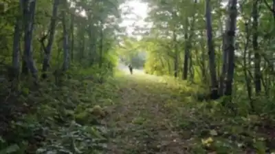 Hiking view of Sentier Fleuriault