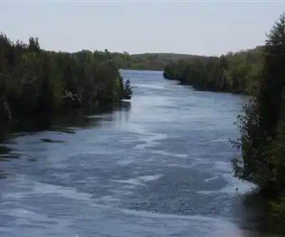 Ranney Gorge Suspension Bridge hiking trail - natural landscape