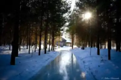 Discover Domaine de la forêt perdue - Le labyrinthe du Domaine enchanteur in Mauricie
