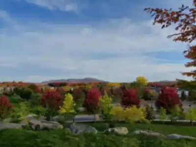 Hiking view of Parc Terry-fox
