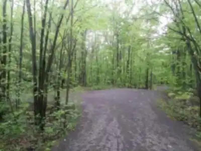 Parc Terry-fox hiking trail - natural landscape