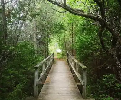 Sur les sentiers de Parc National De Miguasha