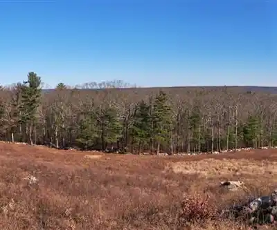 Sentier de randonnée Quabbin Reservoir - paysage naturel