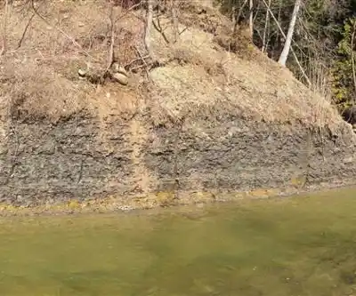 Mast Trail hiking trail - natural landscape