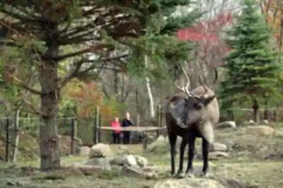 Vue en randonnée de Zoo Ecomuseum