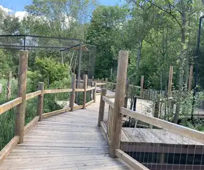 Explorer le sentier Zoo Ecomuseum