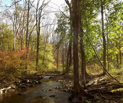 Leonard Park hiking trail - natural landscape