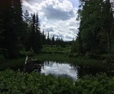 Eskers Provincial Park hiking trail - natural landscape