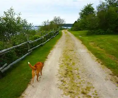 Graves Island Provincial Park hiking trail - natural landscape