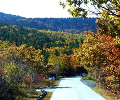 Sentier de randonnée Cadillac North Ridge Trail Parking - paysage naturel