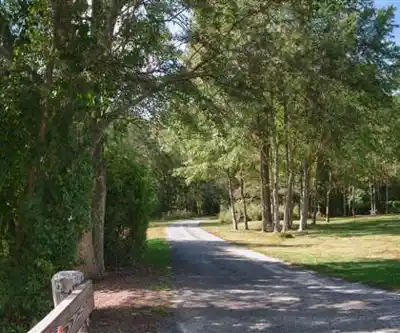 Sentier de randonnée Caleb Smith State Park - paysage naturel
