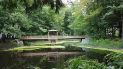 Sentier de randonnée Réserve Naturelle Du Boisé-du-Séminaire - paysage naturel