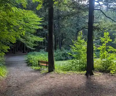 Balade en nature à Réserve Naturelle Du Boisé-du-Séminaire