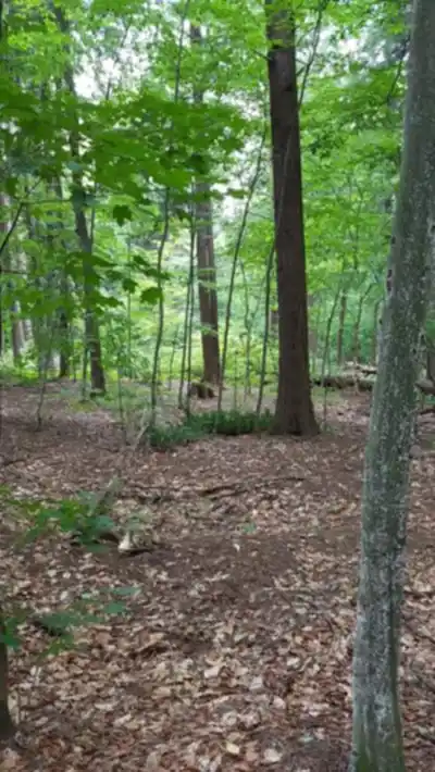 Randonnée Réserve Naturelle Du Boisé-du-Séminaire - nature et plein air