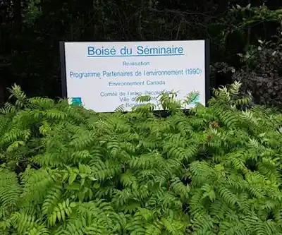 Paysage de Réserve Naturelle Du Boisé-du-Séminaire - randonnée pédestre