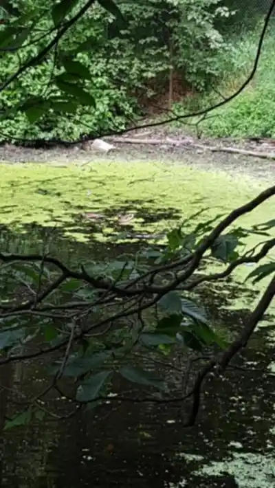 Explorer le sentier Réserve Naturelle Du Boisé-du-Séminaire
