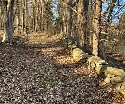 Winding Hills County Park hiking trail - natural landscape