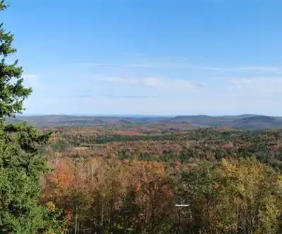 Molly Stark State Park hiking trail - natural landscape