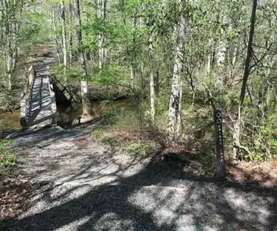 Shark River Park hiking trail - natural landscape