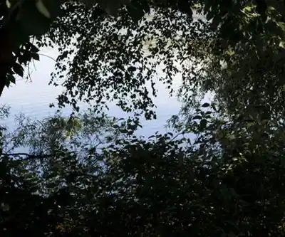 Roosevelt Park hiking trail - natural landscape