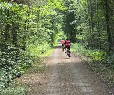 Hiking view of Perth Harvest Pathway Milverton- G2G Rail Trail