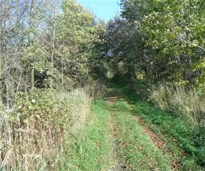 Perth Harvest Pathway Milverton- G2G Rail Trail hiking trail - natural landscape