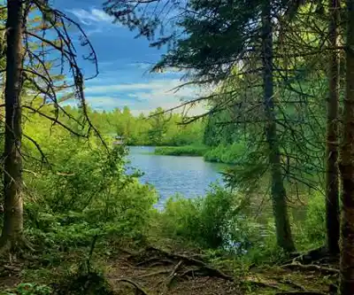 Hiking view of Irishtown Nature Park