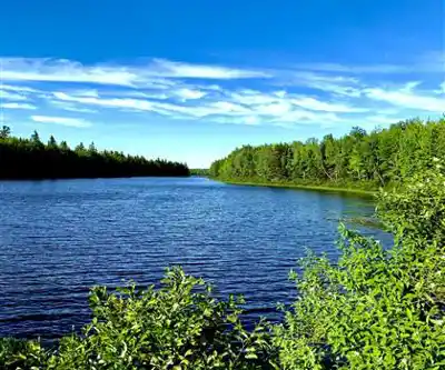 Irishtown Nature Park hiking trail - natural landscape