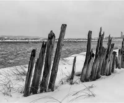 Explore Irishtown Nature Park trail