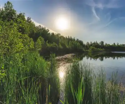 Discover Irishtown Nature Park in Fundy Coast