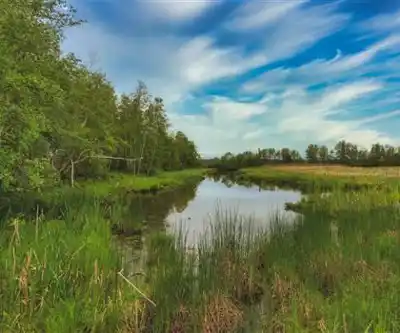 Irishtown Nature Park scenery - hiking