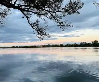 Nature walk at Parc Bernard-Landry - Parc des Prairies