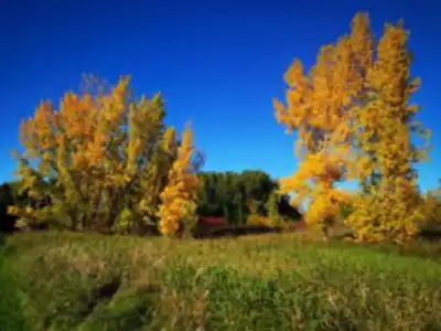 Discover Parc Bernard-Landry - Parc des Prairies in Laval